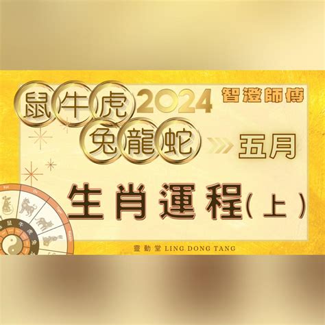 兔 2024 運勢|生肖兔: 性格，愛情，2024運勢，生肖1987，1999，2011